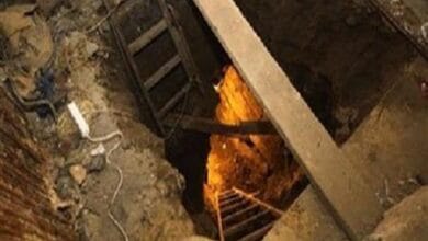 ضبط 561 قضية آثار ومخالفات لشركات سياحية خلال 5 أيام