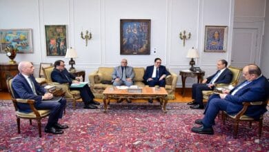 وزير الخارجية يشيد بدور جامعة القاهرة في دعم العلاقات المصرية الأفريقية