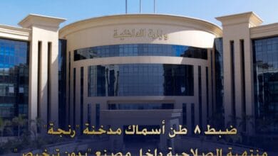 صورة لكميات من الأسماك المدخنة المضبوطة.