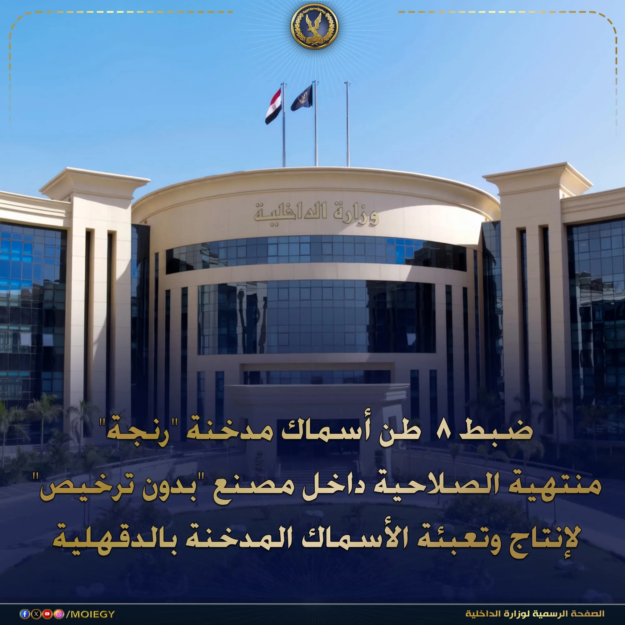 صورة لكميات من الأسماك المدخنة المضبوطة.