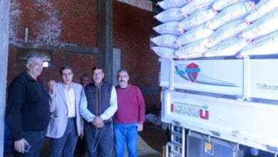 صورة لمخزن زراعي أو كميات من تقاوي الأرز.