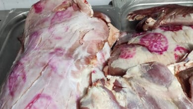 وزارة الزراعة تضبط 156 طن لحوم ودواجن وأسماك مخالفة خلال مارس