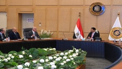 وزير الصناعة يبحث مضاعفة صادرات الرخام والجرانيت مع اتحاد الصناعات وجهاز الخدمة الوطنية