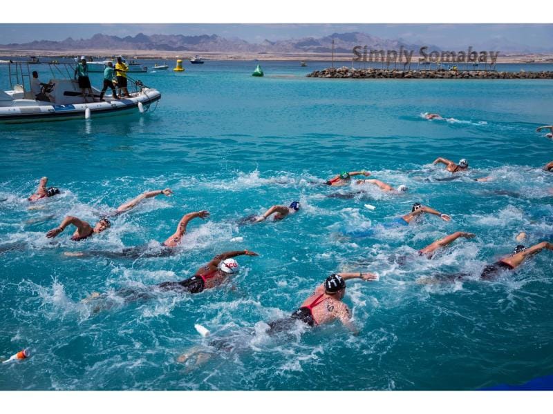 وزارة السياحة والآثار ترعى كأس العالم للسباحة وكأس مصر للفروسية في البحر الأحمر