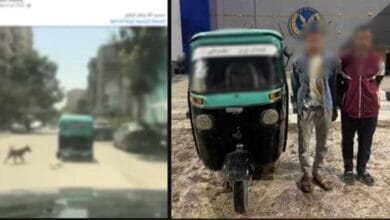 الأمن يكشف ملابسات مقطع فيديو لتوك توك يجر كلبًا نافقًا بالقاهرة