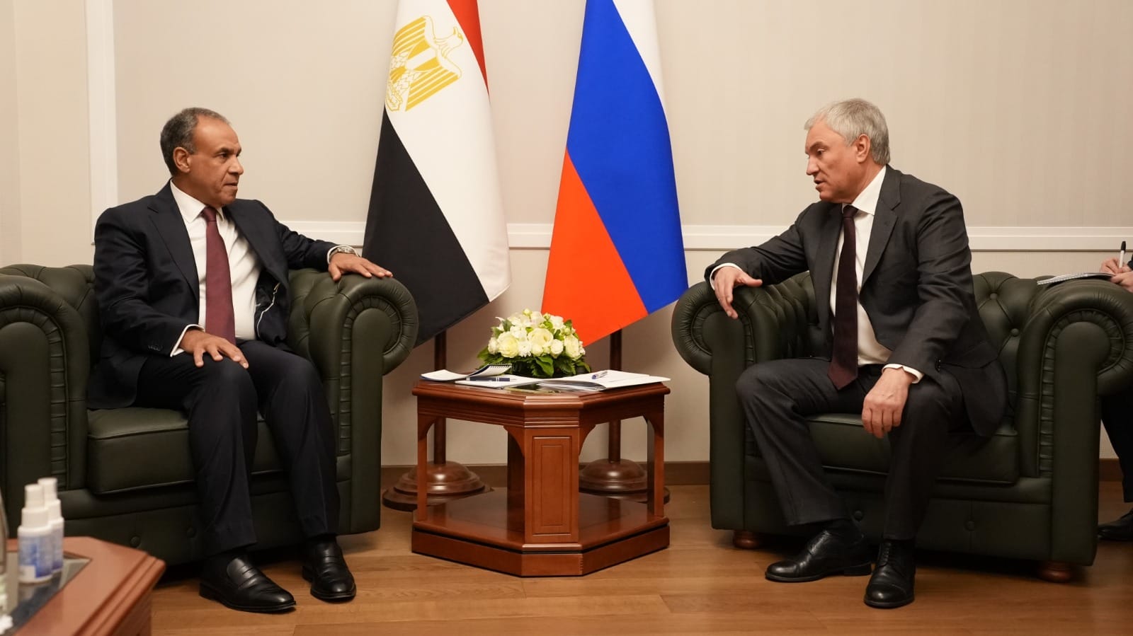 وزير الخارجية يبحث مع رئيس مجلس الدوما الروسي تعزيز التعاون البرلماني