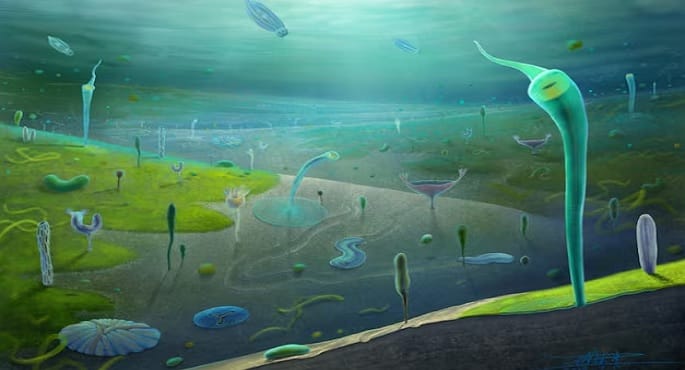 حفريات صينية تكشف تنوعاً واسعاً للحياة الحيوانية قبل 500 مليون سنة