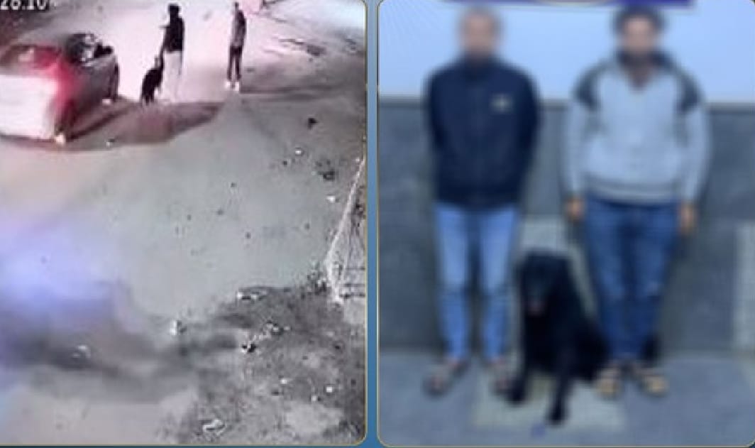 ضبط شخصين اعتديا على سائق بكلب في البحيرة بسبب خلاف على أولوية المرور