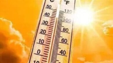 الأرصاد: طقس حار نهاراً بارد ليلاً غداً.. والصغرى بالقاهرة 14 درجة