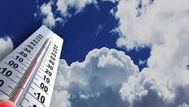 طقس مائل للحرارة في كفر الشيخ اليوم الأحد