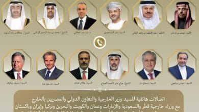 بتوجيهات رئاسية.. وزير الخارجية يجري اتصالات مكثفة لبحث خفض التصعيد الإقليمي