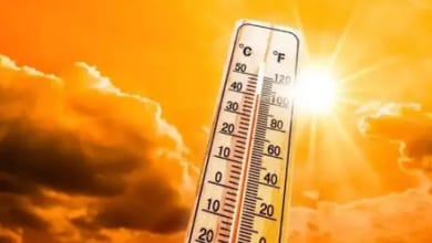 طقس البحيرة: حرارة نهارًا وبرودة ليلًا مع توقعات بشبورة مائية ورياح قوية