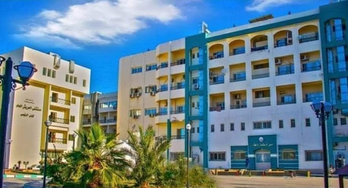 وصول دفعة جديدة من أطباء الجامعات المصرية لمستشفى العريش العام لإجراء عمليات مجانية