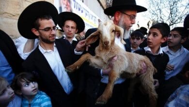 تحذيرات من تهويد المسجد الأقصى عبر طقوس "القربان" وأوهام "الهيكل"