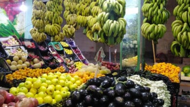أسعار الخضروات والفاكهة اليوم في الغربية تشهد استقراراً نسبياً