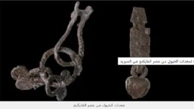 اكتشاف أثري نادر لمعدات خيول من عصر الفايكنج في السويد