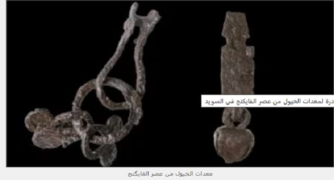 اكتشاف أثري نادر لمعدات خيول من عصر الفايكنج في السويد