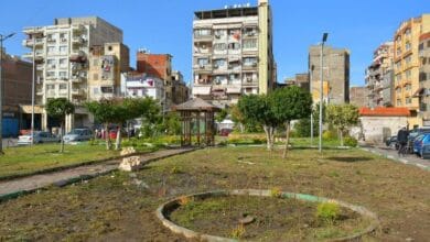 محافظ بورسعيد: المساحات الخضراء عنصر إلزامي في مشاريع التطوير العمراني