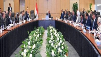 وزير الاستثمار يترأس اجتماع مجموعة عمل العلاقات المصرية الكورية لبحث مستهدفات التعاون