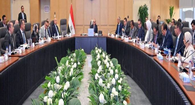 وزير الاستثمار يترأس اجتماع مجموعة عمل العلاقات المصرية الكورية لبحث مستهدفات التعاون