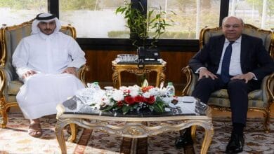 وزير الطيران يبحث مع مجموعة قطرية دراسة إنشاء مصنع لإنتاج وقود الطائرات المستدام في مصر