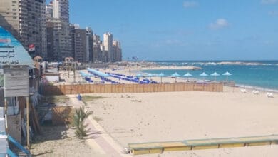 محافظ الإسكندرية يحذر من السباحة في شواطئ غير مجهزة