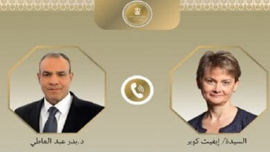 مباحثات هاتفية بين وزيري خارجية مصر وبريطانيا لتعزيز التعاون وخفض التصعيد الإقليمي