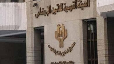 قانون التأمينات الاجتماعية يحدد 6 حالات للجمع بين معاشين