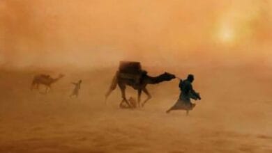 قاموس الظواهر الجوية في صحراء مصر الغربية: بين العجاج والسيول