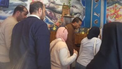 ضبط طن جبن فاسد و200 كيلو فسيخ غير صالح للاستهلاك الآدمي بكفرالشيخ