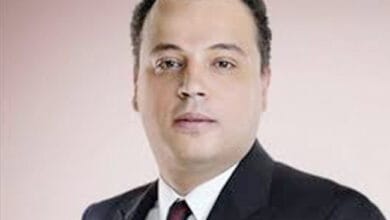 إيقاف مدربة أسود ومصور بالسيرك القومي بعد إصابة طفلة