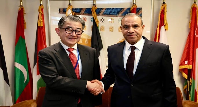 وزير الخارجية يبحث مع مسؤول ياباني تعزيز دعم المشروعات التنموية المشتركة