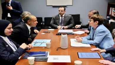 وزير الخارجية: مصر وجهة آمنة وجاذبة للاستثمارات الأجنبية