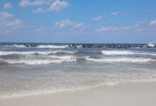 نفي رسمي لفتح شاطئ النخيل بالإسكندرية.. تأكيد استمرار غلقه