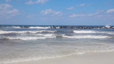 نفي رسمي لفتح شاطئ النخيل بالإسكندرية.. تأكيد استمرار غلقه