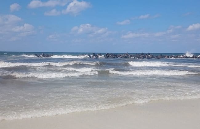 نفي رسمي لفتح شاطئ النخيل بالإسكندرية.. تأكيد استمرار غلقه