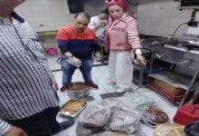 مصادرة 652 كيلو لحوم ودواجن وأسماك غير صالحة للاستهلاك الآدمي بالغربية