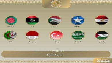 مصر ودول أخرى تدين تعيين إسرائيل مبعوثاً لدى "أرض الصومال"