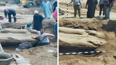 اكتشاف تمثال أثري ضخم في تل فرعون بالشرقية
