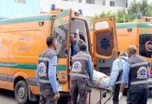 مصرع عامل صعقًا بالكهرباء داخل مزرعة في ميت غمر