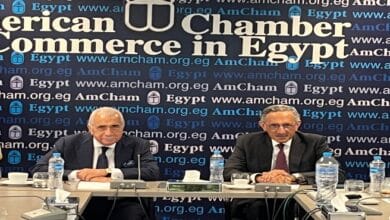 إشادة أمريكية بإجراءات مصر لاحتواء آثار التوترات الإقليمية