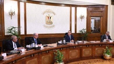 رئيس الوزراء يتابع مشروعات تطوير قطاع الغزل والنسيج والاستغلال الأمثل للأصول