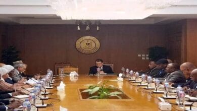 مساعد وزير الخارجية يحيط سفراء إفريقيا بجهود مصر لخفض التصعيد الإقليمي