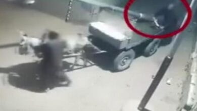 الأمن يكشف حقيقة نقل مواطن لعمود إنارة أمام منزله بالدقهلية