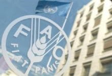 الفاو تحذر: موجات الحر تهدد الأمن الغذائي العالمي