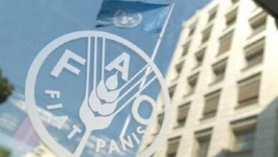 الفاو تحذر: موجات الحر تهدد الأمن الغذائي العالمي