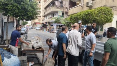 ضبط ومصادرة 31 قطعة في حملة للتصدي للتلوث السمعي بشرق المنصورة
