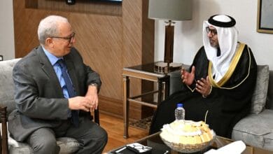 نائب رئيس الوزراء للشئون الاقتصادية وسفير الإمارات يبحثان الفرص الاستثمارية