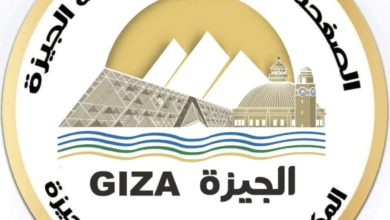 صورة لكوبري الدقي المعدني بالجيزة