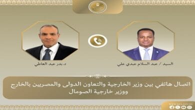 وزير الخارجية يبحث مع نظيره الصومالي دعم مصر لوحدة الأراضي وسيادتها